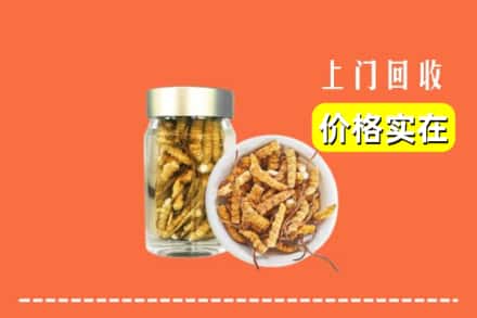 新乡县回收散虫草