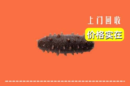 新乡县回收海参