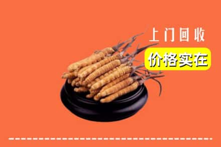 新乡县回收冬虫夏草